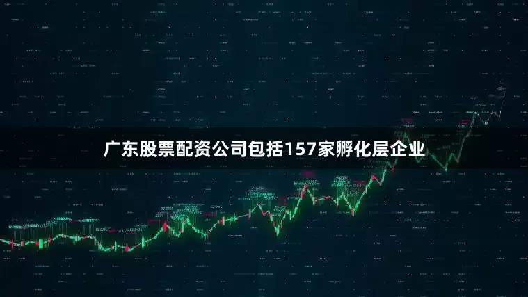 广东股票配资公司包括157家孵化层企业