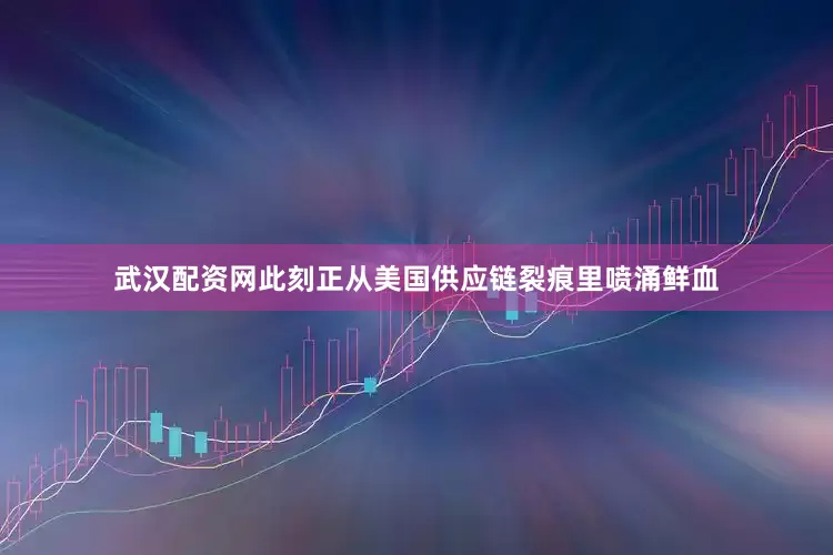 武汉配资网此刻正从美国供应链裂痕里喷涌鲜血