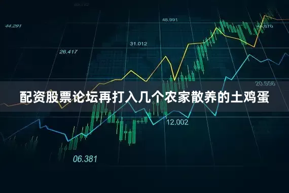 配资股票论坛再打入几个农家散养的土鸡蛋