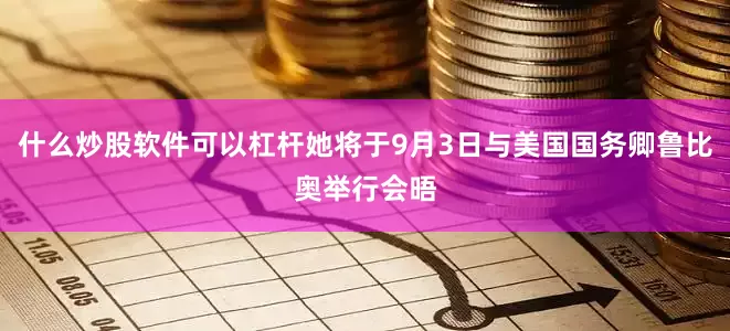 什么炒股软件可以杠杆她将于9月3日与美国国务卿鲁比奥举行会晤