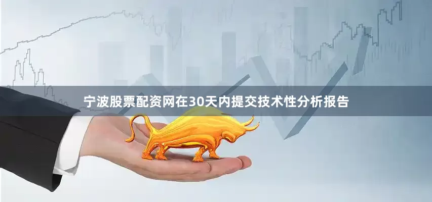 宁波股票配资网在30天内提交技术性分析报告